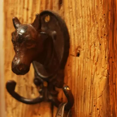 Apartment Hirschkopf Kleines Wiesental