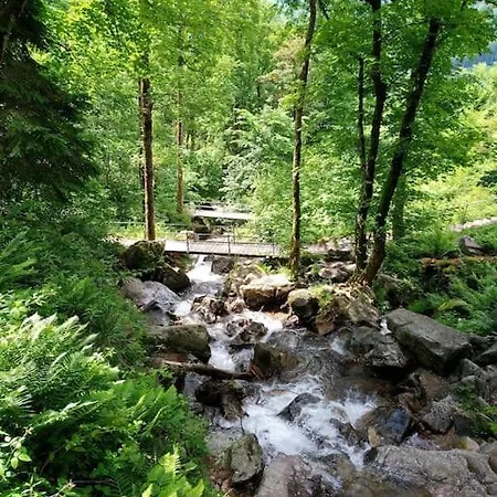 Hirschkopf Apartment Kleines Wiesental