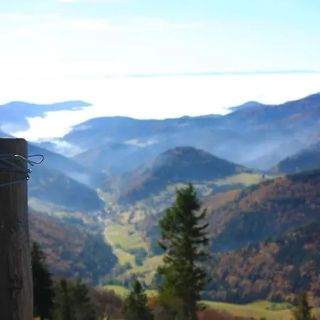 Apartment Hirschkopf