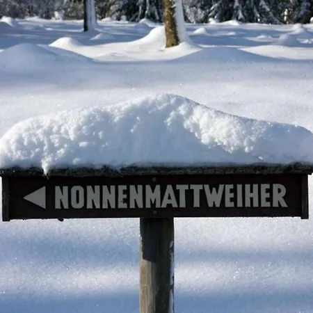 Apartment Hirschkopf