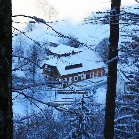 Hirschkopf Apartment Kleines Wiesental