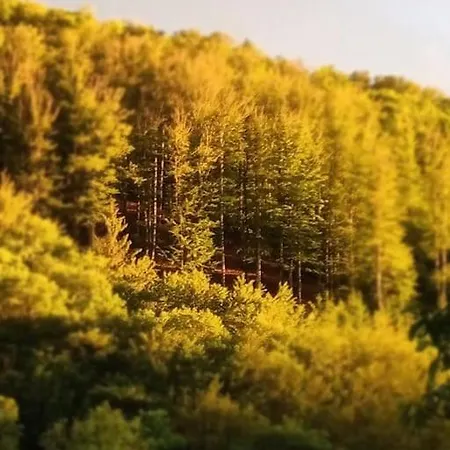 Apartment Hirschkopf *