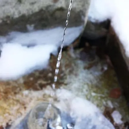 Apartment Hirschkopf