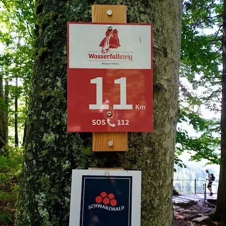 Apartment Hirschkopf Kleines Wiesental