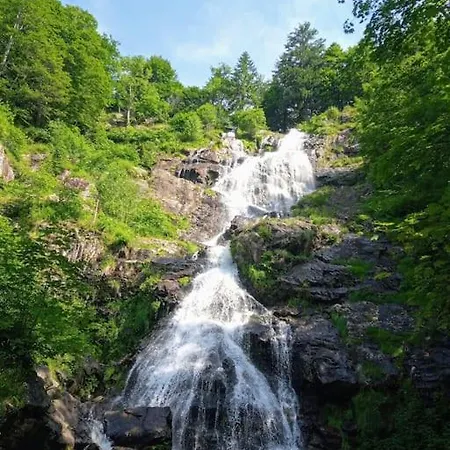 Hirschkopf * Kleines Wiesental