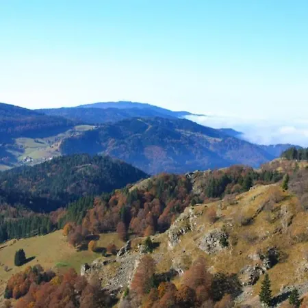 Apartment Hirschkopf