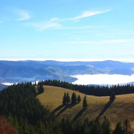 Hirschkopf Apartment Kleines Wiesental