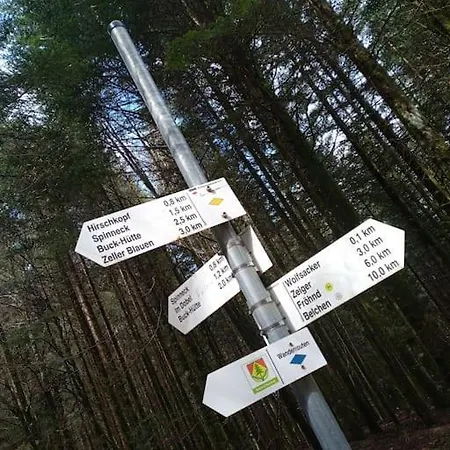 Hirschkopf *