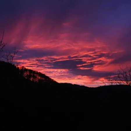 Apartment Hirschkopf *