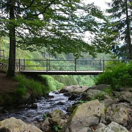 Apartment Hirschkopf