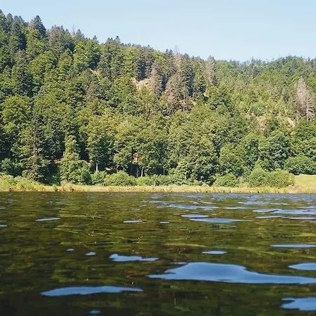 Hirschkopf Apartment