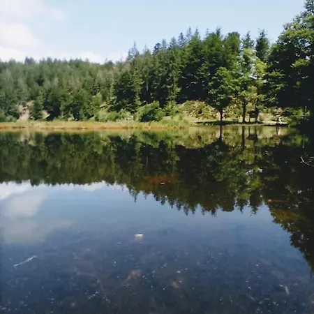 Apartment Hirschkopf *