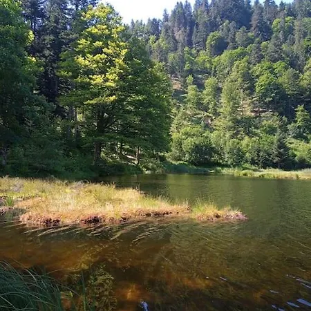 Apartment Hirschkopf Kleines Wiesental