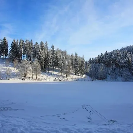 Hirschkopf * Kleines Wiesental