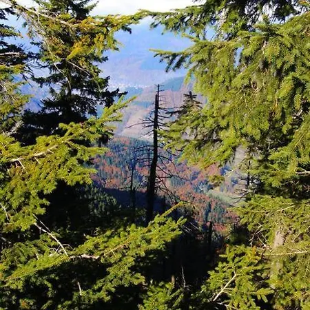 Hirschkopf Apartment