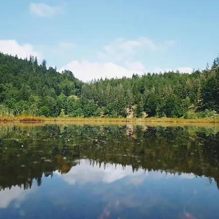 Apartment Hirschkopf *